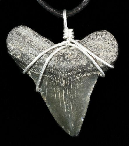 Fossil Megalodon Tooth Necklace #47773